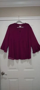 Charter Club Woman Bell Sleeve Top 3X Lined Purple V-neck - Picture 1 of 4