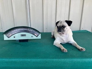 Vintage 1957 Ford Instrument Cluster Great for Display - Picture 1 of 12