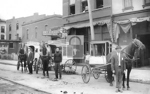 Sedalia Monarch Dry Cleaning Laundry Missouri MO - Reprint - Picture 1 of 2