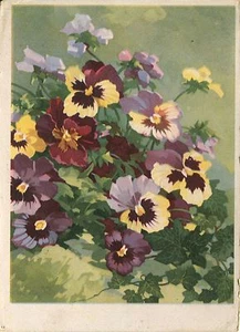 Alte Kunstpostkarte - Stiefmütterchen - Bild 1 von 1