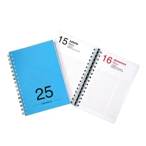 Agenda 2025 giornaliera annuale 15x21 cm A5 - diario con spirale - AZZURRA - Foto 1 di 1
