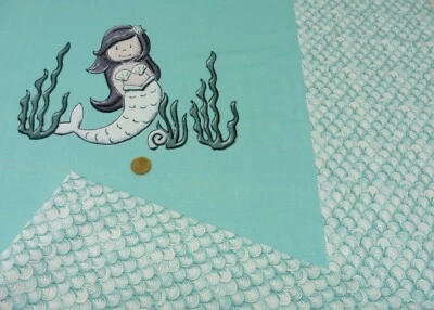 Captain Nixxy Panel Hilco organic cotton mintgrün Bio-Baumwoll-Jersey Motivstoff - Bild 1 von 2