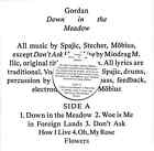 Gordan / DOWN IN THE MEADOW (LP) / Morphine Records / DOSER041 / 12 Inch