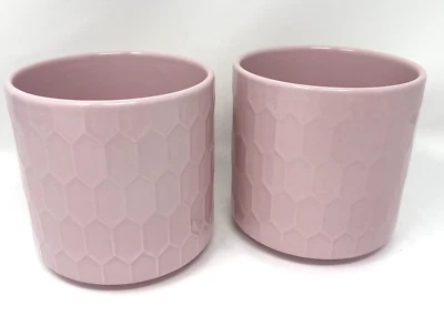 Lote de 2 macetas de cerámica texturizada rosa brillante 5" NUEVAS Foto 1 de 3