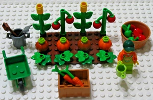 LEGO Vegetable Garden Corn Tomatoes Lettuce Carrots Pumpkins Apples w/ Male - Picture 1 of 7