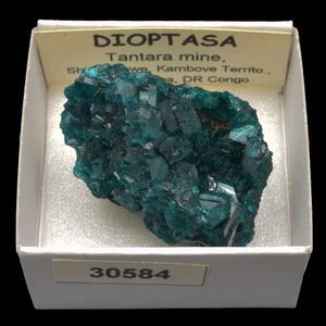 DIOPTASA (Tantara m., Kambove, Haut-Katanga, D.R. Congo) E #30584 / Dioptase - Bild 1 von 1