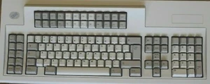 Genuine IBM KEYCAPS 122 Key Model M Buckling Spring Keyboard Authentic Key Caps - Picture 1 of 1
