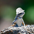  Stylowy kapelusz dla zwierząt domowych Mały tradycyjny kapelusz Urocza jaszczurka