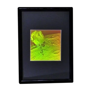 Holograma de aterrizaje lunar 3D enmarcado, película de fotopolímero Polaroid coleccionable - Imagen 1 de 7