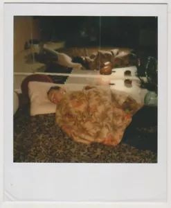 Gemütlicher Schlummer am Spiegel Friedliche Nacht eingewickelt in Wärmedecken Polaroid® - Bild 1 von 7