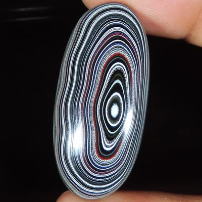 16.05 Carat. Fordite Detroit Agate Oval Cabochon (17 x 37 x 5 mm) Loose Gemstone - Image 1 of 4