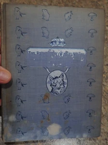 1909 THE BIOGRAPHY OF A SILVER FOX  ERNEST THOMPSON SETON 100 drawings hardcover - Imagen 1 de 11