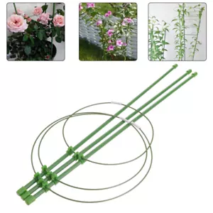 Conical Shaped Trellis Garden Trellis Peony Cage Cucumber Trellis - Picture 1 of 12