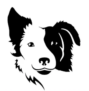 Border Collie Black Vinyl Dog Decal Car Truck Windows Laptop Camper Notebook - Picture 1 of 2
