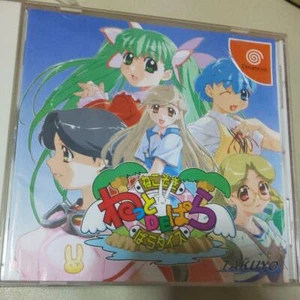 TAKUYO Nekosogi Net De Para Paradise Sega Dreamcast DC Used Japanese Retro Game  - Picture 1 of 12