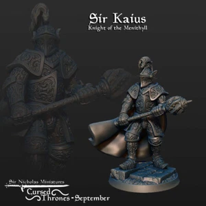 Sir Kaius - Knight of the Menithyll - Picture 1 of 1