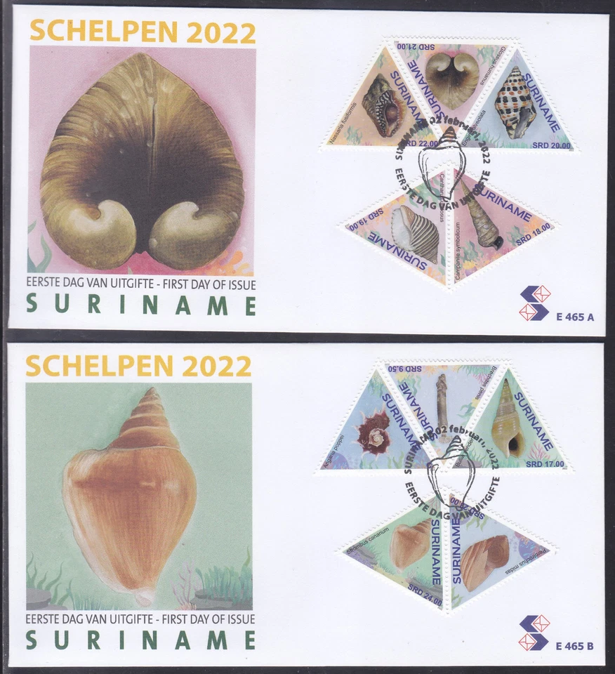 Surinam - Suriname Issue FDC 2022 (465) Sea Shells - Image 1 of 1