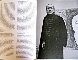 " ENZO CUCCHI IL POETA E IL MAGO " : GUIDA alla MOSTRA al MAXXI di ROMA pag 16 - Imagen 1 de 7