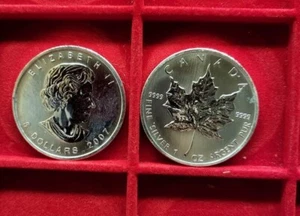 2007 CANADA maple leaf 1 oz argento 9999 silver - Foto 1 di 1