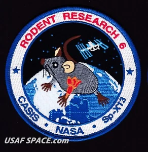 RODENT RESEARCH 6 -SPACEX DRAGON CRS-13- ISS NASA CASIS - 4" - PATCH MISSIONE - Foto 1 di 3