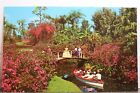 Florida FL Cypress Gardens Canal Boat Cruise Postcard Old Vintage Card View Post