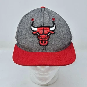 MITCHELL & NESS NOSTALGIA CO. CHICAGO BULLS NBA SNAPBACK HAT CAP GRAY RED - Picture 1 of 8