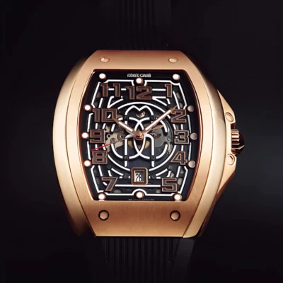 roberto cavalli by FRANCK MULLER RV1G205P1071 Automatic Men's Watch - Image 1 of 4
