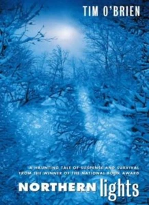 Northern Lights By Tim O'Brien - Picture 1 of 1