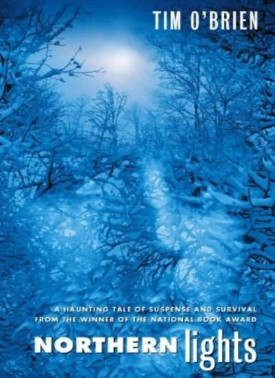 Northern Lights By Tim O'Brien - Image 1 of 1