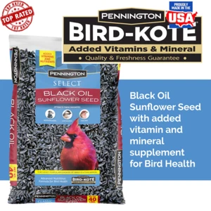 Black Oil Sunflower Seeds Wild Bird Feed 40lb Premium High Protein Mix New - Picture 1 of 7