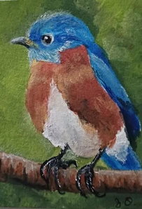 aceo  Eastern Bluebird on branch original painting - Picture 1 of 1