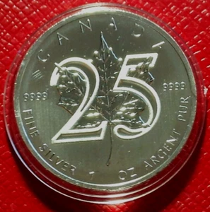 2013 Canada 25° anniversario 1 oncia .9999 moneta foglia d'acero argento in capsula - Foto 1 di 4