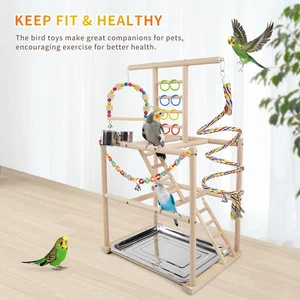Bird Playground Play Small Birds Perch Cockatiel Parrots to Medium 3 Ladders - Picture 1 of 12
