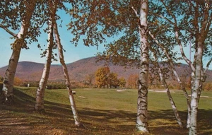 Ekwanok Country Club Golfplatz - Equinox Mountain im Hintergrund - unbenutzt - Bild 1 von 2