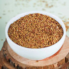 Premium Quality Pure Alfalfa/ Rajko/ Lucerne Grass Seeds,250gm x 1 Pouch Pack