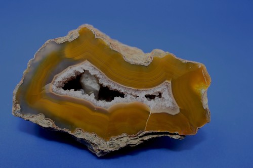 Bild 1 von 1