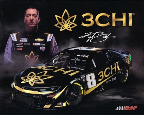 2023 KYLE BUSCH 3 CHI RCR RACING" #8 NASCAR CUP SERIES POSTCARD Cover