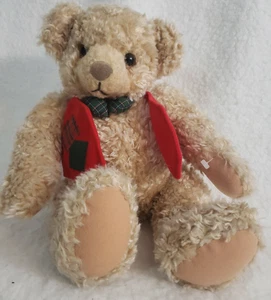 Hallmark Holiday Tyler Teddy New Home plush bear 10" red vest patchwork - Picture 1 of 7