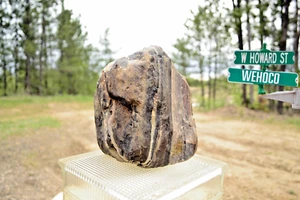 11 Pfund versteinertes Holz einzigartiges Achat Exemplar Garten Hütte Buchstütze Dekor MN Made - Bild 1 von 9