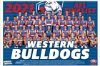 Western bulldogs TEAM Photo,AFL football,swans,PIEs ,blues ,crows,books,dockers1
