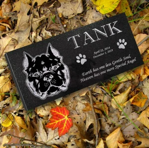Pitbull personalisiertes Hundedenkmal - Granit Haustier Denkmal - 6x12 - Panzer - Bild 1 von 9