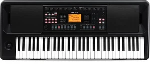 Korg EK-50 61-Tasten Arranger Keyboard - Bild 1 von 1