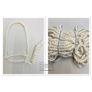 BUNDLE (10) WHITE ROPE HALTER, IN-HAND SHOW HALTER EQUESTRIAN SHOWING *FREE POST - Picture 1 of 8