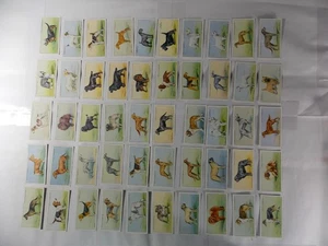 Juego completo de 50 tarjetas de cigarrillos Wills Dogs 1937 - Imagen 1 de 10
