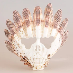 5.8" Natural Shell Quartz Crystal Hand Carved Caciques Skull Mask 178g - Picture 1 of 6