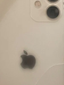 Apple iPhone 12 - 256 Go - Blanc (Déverrouillé) - Photo 1/5
