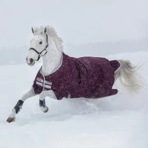 AMIGO Hero Ripstop 200g, fig / silver,  Horseware Amigo Winterdecke 200g Gr. 130 - Bild 1 von 3