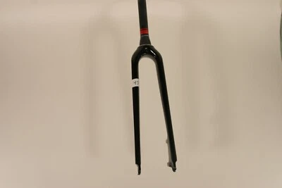 Horquilla de carbono Fuji FC-330 cónica x 250 mm 700c freno de disco sin rosca 9 mm QR FKC38 Foto 1 de 3