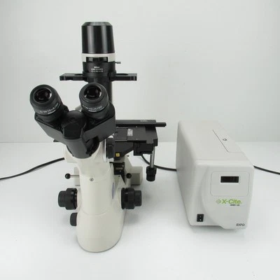 NIKON ECLIPSE TS100 TRINOCULAR FLUORESCENCE MICROSCOPE W/ PLAN FLUOR 4X/10X/40X - Image 1 of 4
