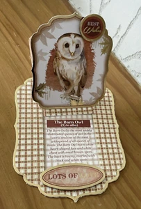 Handmade A6 Barn Owl Easel Reveal Card "Best Wishes" - Picture 1 of 7